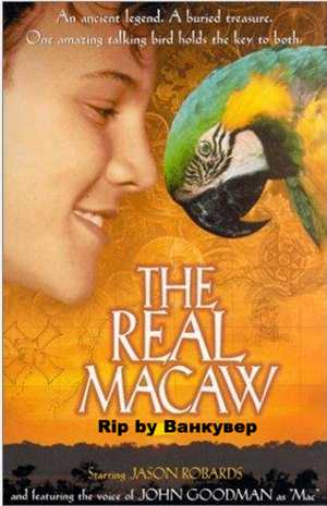 Мак-миллионер / The Real Macaw (Марио Андриачи / Mario Andreacchio) [1998, Австралия, Приключения, семейный, VHSRip]