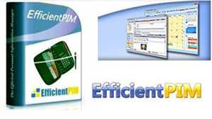 EfficientPIM Pro 3.0 Build 317 Rus