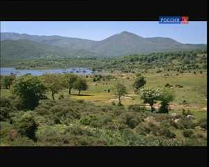 Дикая природа Сардинии / Wild Sardinia [2008, DVB]