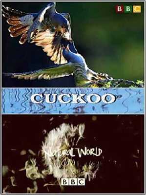 ВВС: Мир природы. Кукушка/ BBC: The Natural World Cuckoo [2009/ DVB]