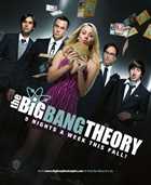Теория Большого Взрыва / The Big Bang Theory / HDTVRip / Кураж-Бамбей / (Cезон 5) Серия 1 - 11 [ru]