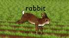 Кролик / Rabbit (2005, WEBRip).