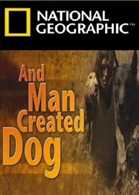 National Geographic: И человек приучил собаку / National Geographic: And Man Created Dog / 2010 / SATRip