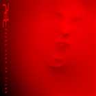 Red - Until We Have Faces 2011, MP3 (tracks), 320 kbps