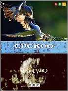 ВВС: Мир природы. Кукушка/ BBC: The Natural World Cuckoo [2009/ DVB]